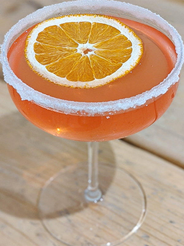 Fizz Navidad